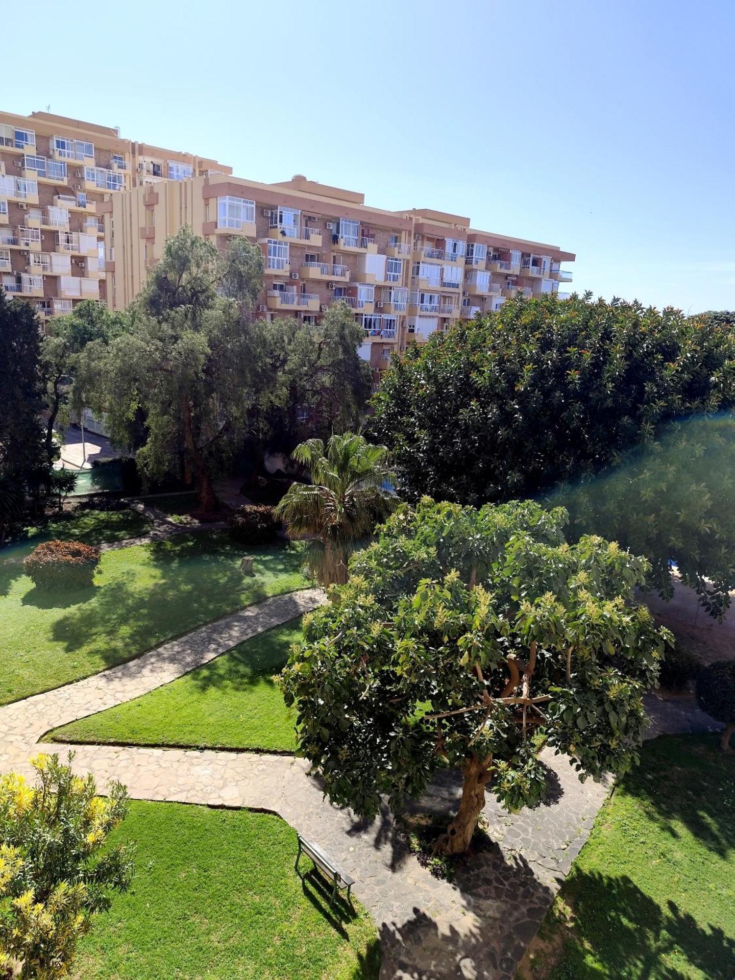 Alma Appartement